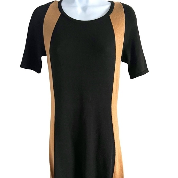 Melonie T | Sweater Dress | Short Sleeve with Back Zipper - Picture 1 of 5